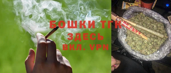 прущие грибы Верея